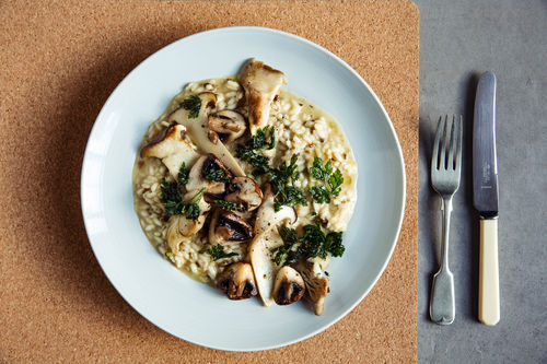 Haselnuss-Pilz-Risotto mit krossen Petersilienblättern