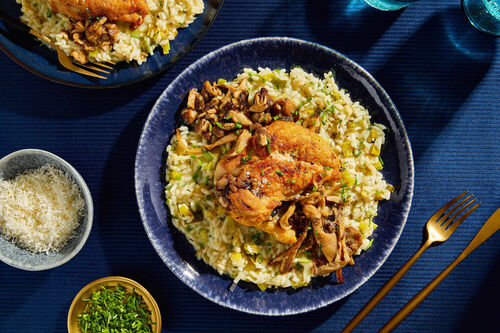 Special: Perlhuhn-Suprême mit Pilzsauce auf cremigem Kräuterrisotto