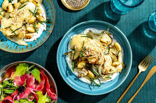 Cremiger Ofen-Brie mit Chioggia-Salat dazu gebackene Gnocchi, Fenchel und Queller