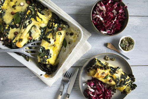 Cannelloni mit Schwarzkohl und Béchamel mit Haselnusspesto und Radicchiosalat