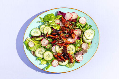 RS Japanischer Hähnchensalat mit Radieschen Low Carb mit eingelegte Gurken und Sesam