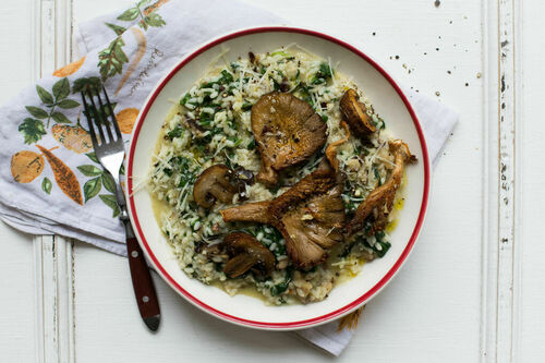 Gebackene Pilze auf Spinatrisotto mit Kräutern und geriebenem Käse