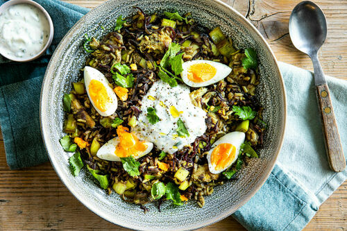 Kedgeree mit Räuchermakrele und Ei serviert mit Korianderjoghurt